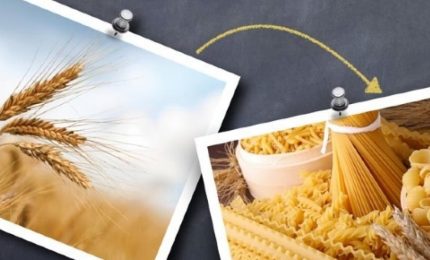 Un anno con I Nuovi Vespri e con GranoSalus per tutelare il nostro grano duro. Auguri!