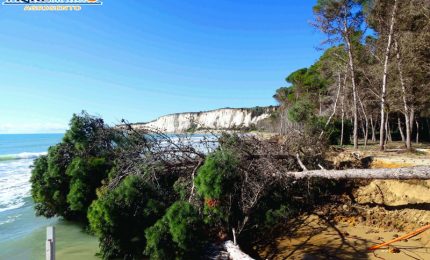 Eraclea Minoa, dopo la spiaggia il mare si sta 'mangiando' anche la pineta (VIDEO)