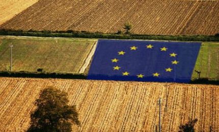 Fondi europei in agricoltura: la truffa scoperta a Enna e la totale assenza di 'trasparenza' della Regione