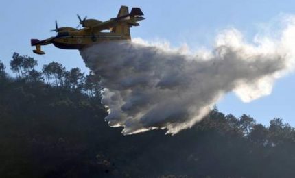Lo Stato scippa alla Regione i fondi per i boschi e, magari, la colpa è dei forestali!