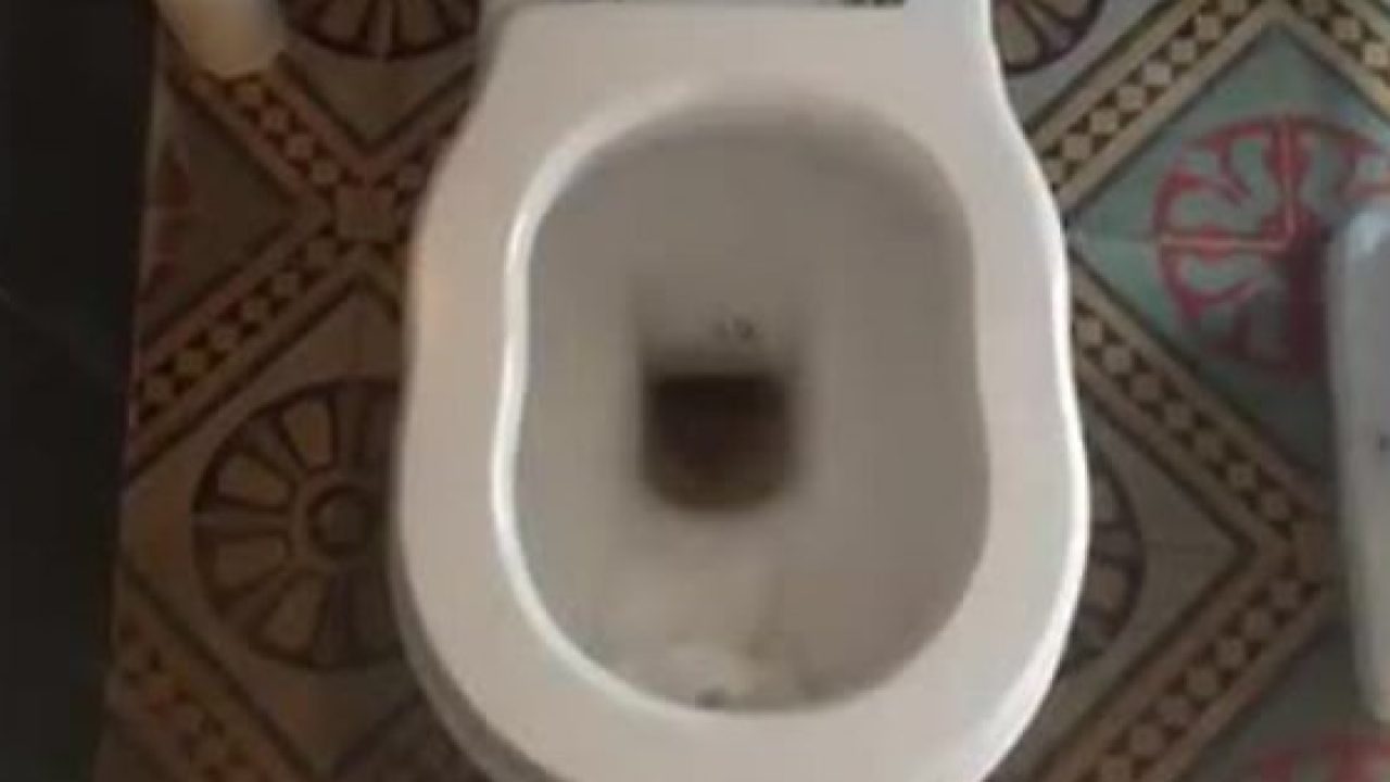 Mattinale 23 Vittorio Sgarbi Al Cesso Metafora Di Berlusconi In Sicilia I Nuovi Vesprii Nuovi Vespri