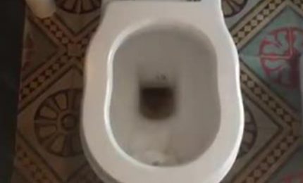 MATTINALE 23/ Vittorio Sgarbi al cesso metafora di Berlusconi in Sicilia