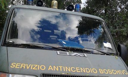 Prevenzione degli incendi nei boschi: la Regione 'risparmierà' anche quest'anno?