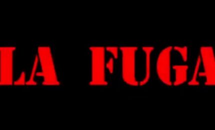 Ars/ Grillini-Vittorio Sgarbi: 1 a 0 (la fuga...)