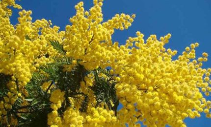 Per le donne del Sud 300 euro in meno in busta paga rispetto agli uomini