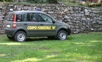Personale dei Parchi siciliani 'comandato' presso il Corpo Forestale: qualche precisazione