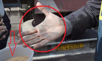 MATTINALE 60/ Perché le navi cariche di grano continuano ad arrivare in Sicilia?