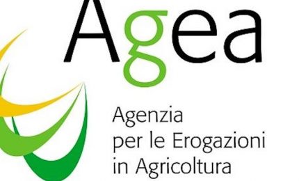 Pagamenti in agricoltura: i grillini difendono gli agricoltori siciliani o celebrano AGEA?