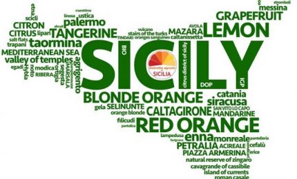 Che fine hanno fatto i ventitrè Distretti produttivi istituiti dalla Regione siciliana nel 2005?