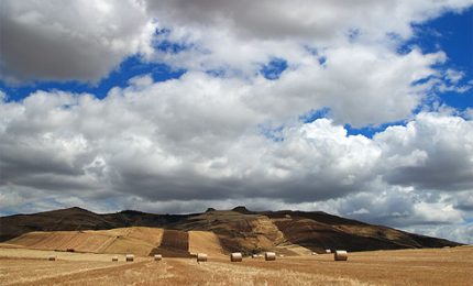 Grano, la rivolta dei sindaci dell'entroterra dell'Isola: "Pronti ad occupare i porti della Sicilia"