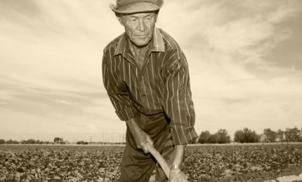 I pensionati più poveri? Gli agricoltori. Letti male i conti dell'INPS per giustificare tagli e legge Fornero!