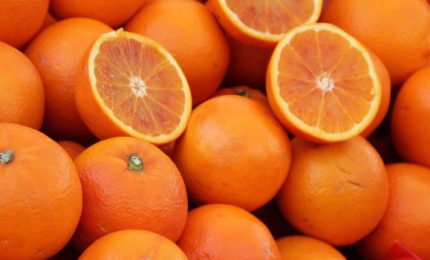 L'olio di arancia, il bio-pesticida del futuro per rilanciare il pianeta agrumi