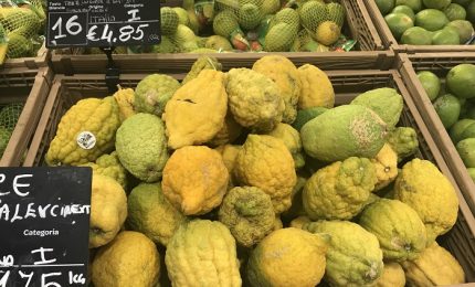 A Palermo i cedri a quasi 5 euro al Kg: ma non è un'esagerazione?