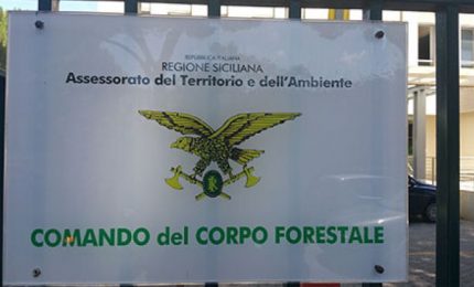 Corpo Forestale della Regione siciliana: la CISL vuole i concorsi. C'è da crederci?