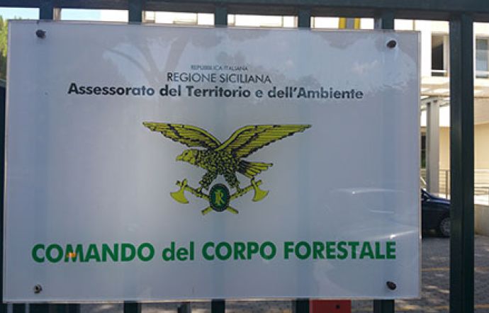 corpo-forestale-della-regione-siciliana-la-cisl-vuole-i-concorsi-c