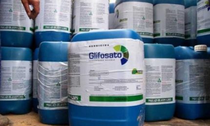Glifosato: polemiche su un convegno di Confagricoltura Catania. E il grano che arriva in Sicilia con le navi?