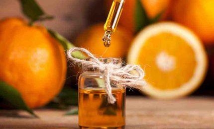 Limonene 2/ Olio di arancia per combattere la Xylella, ma anche i parassiti di melo e pero