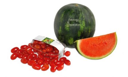 Arriva l'accordo UE-Sahara marocchino: addio per sempre all'ortofrutta siciliana?