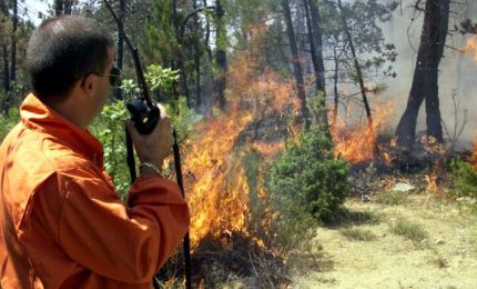 Forestali: quanta 'vucciria' tra Toto Cordato e Antonello Cracolici per un contratto-pannicello caldo!