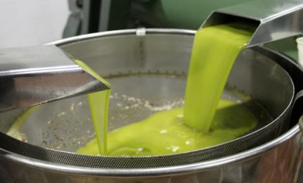 Olio d'oliva extra vergine a meno di 4 euro a bottiglia. Un consiglio: non acquistatelo!