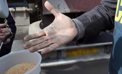 Come vincere la battaglia del grano in Sicilia/ MATTINALE 140