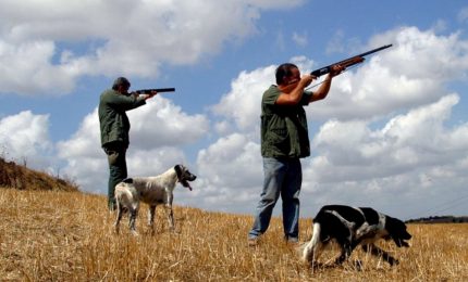 Il TAR blocca la caccia in Sicilia fino all'1 ottobre