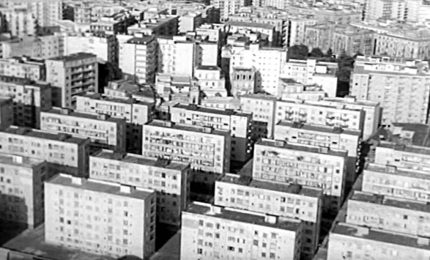 A Catania gli alberi sono sacri, a Palermo si eliminano. Il cemento di Mondello paradigma dell'eterno 'Sacco edilizio'