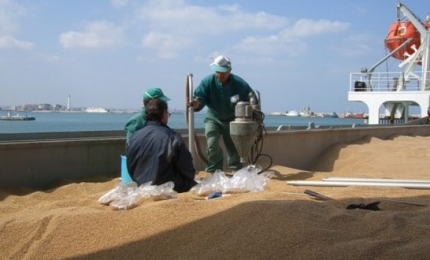 Grano & navi/ Scaricati a Bari un milione di quintali. E in Sicilia? Il ruolo dei sindaci
