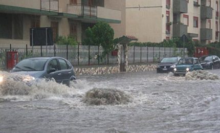 Palermo, hanno eliminato migliaia di alberi e si chiedono perché la città si allaga ad ogni pioggia/ MATTINALE 151