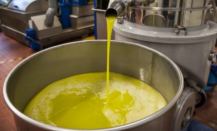 Porto di Palermo: sdoganati oltre mille e 600 tonnellate di olio d'oliva tunisino!