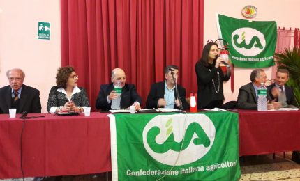 Le ZES in Sicilia, Rosa Castagna (CIA): "Pensare alle aree interne della nostra Isola"