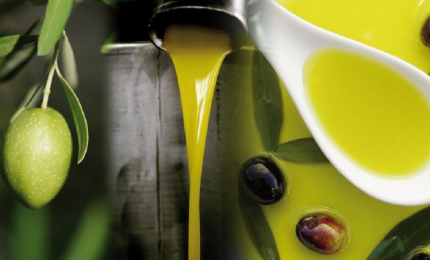 Perché un litro di olio d'oliva extra vergine non può costare meno di 12 euro