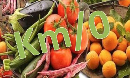 A Palermo 'L'Alveare che dice sì': l'opportunità, per i cittadini, di portare in tavola alimenti a Km zero