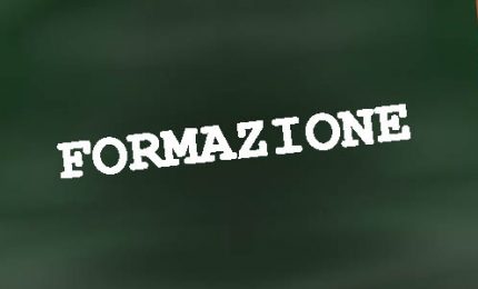 Formazione, lunedì prossimo, 19 novembre, manifestazione a Palermo