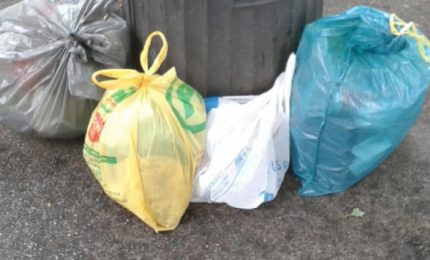 Palermo, 22 novembre 2018, festa della plastica 'artistica'...