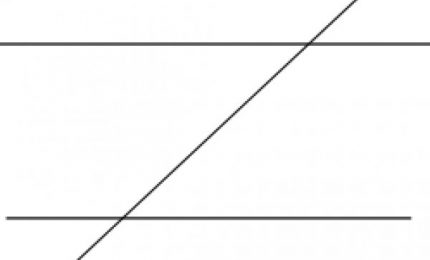 Vite parallele: la ZTL di Palermo e il dramma della Formazione professionale in Sicilia