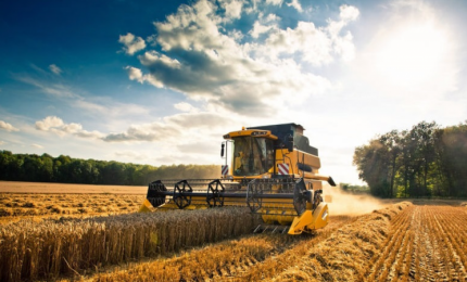 Tra i grillini, al Parlamento nazionale, c'è chi lavora contro l'agricoltura del Sud?