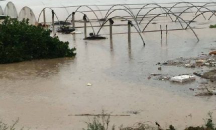Fondi per i danni del maltempo: esclusi gli agricoltori di Sicilia e Puglia