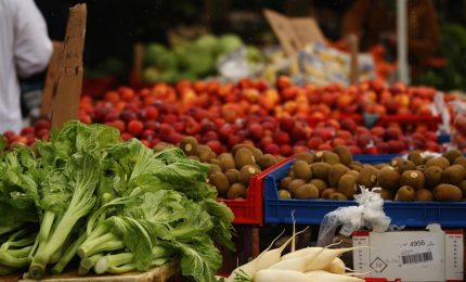 Organizzazione Mondiale della Sanità e ONU contro i cibi 'avvelenati': nessun attacco al Made in Italy