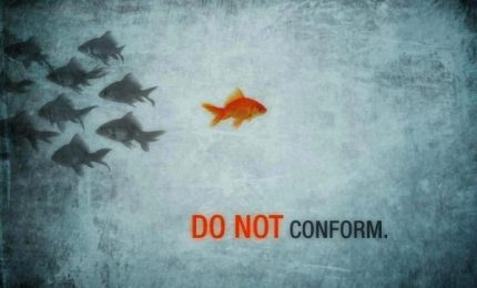 Uomini contro: Giuseppe 'Peppe' Arnone, Salvatore Tot&ograve; Petrotto e Costantino Guzzo/ MATTINALE 269