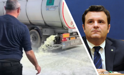 Sardegna: latte di pecora in polvere da esportare in Cina. Perché non lo fa la Sicilia?