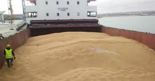 Il Governo Musumeci avvia i controlli su una nave di grano canadese a Pozzallo