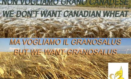 E' confermato: la Sicilia è invasa dal grano canadese. E i controlli di qualche giorno fa? Una farsa!/ MATTINALE 294