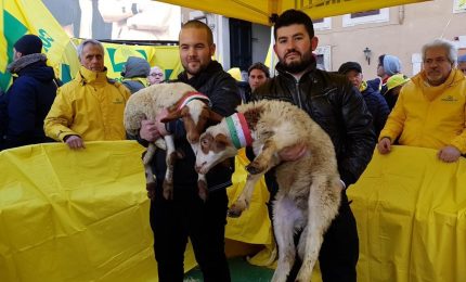 Bloccare le importazioni a dazio zero di grano, latte, ortofrutta e altro ignorando la UE