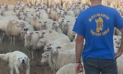 La rivolta dei pastori in Sardegna e le elezioni regionali 'militarizzate' da Salvini