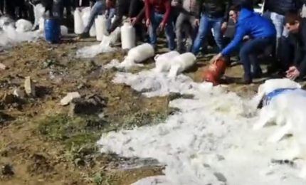 Perché sul latte non vengono posti i dazi doganali come hanno fatto per il riso della Cambogia e della Birmania?