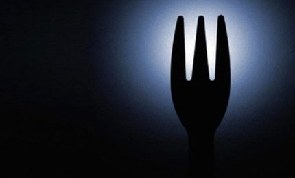 Perché la televisione ci propina ogni giorno cialtronerie tipo Alta velocità?