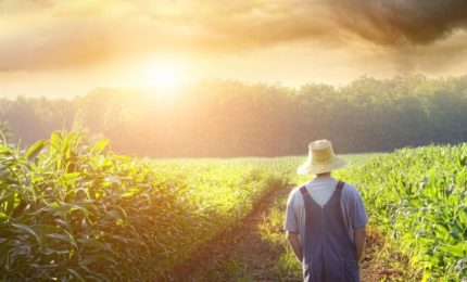 Crisi dell'agricoltura siciliana: trattativa con il capo del Governo nazionale Conte, non con la Regione