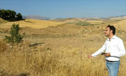 Figuccia: "La Regione tuteli gli agricoltori siciliani utilizzando i fondi del PSR"