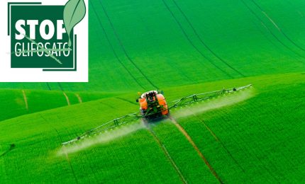 L'esposizione al glifosato aumenta del 41% il rischio di linfoma non Hodgkin/ MATTINALE 296